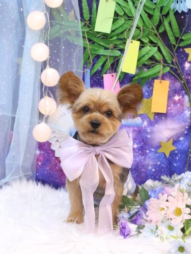 20250706ショーンくん